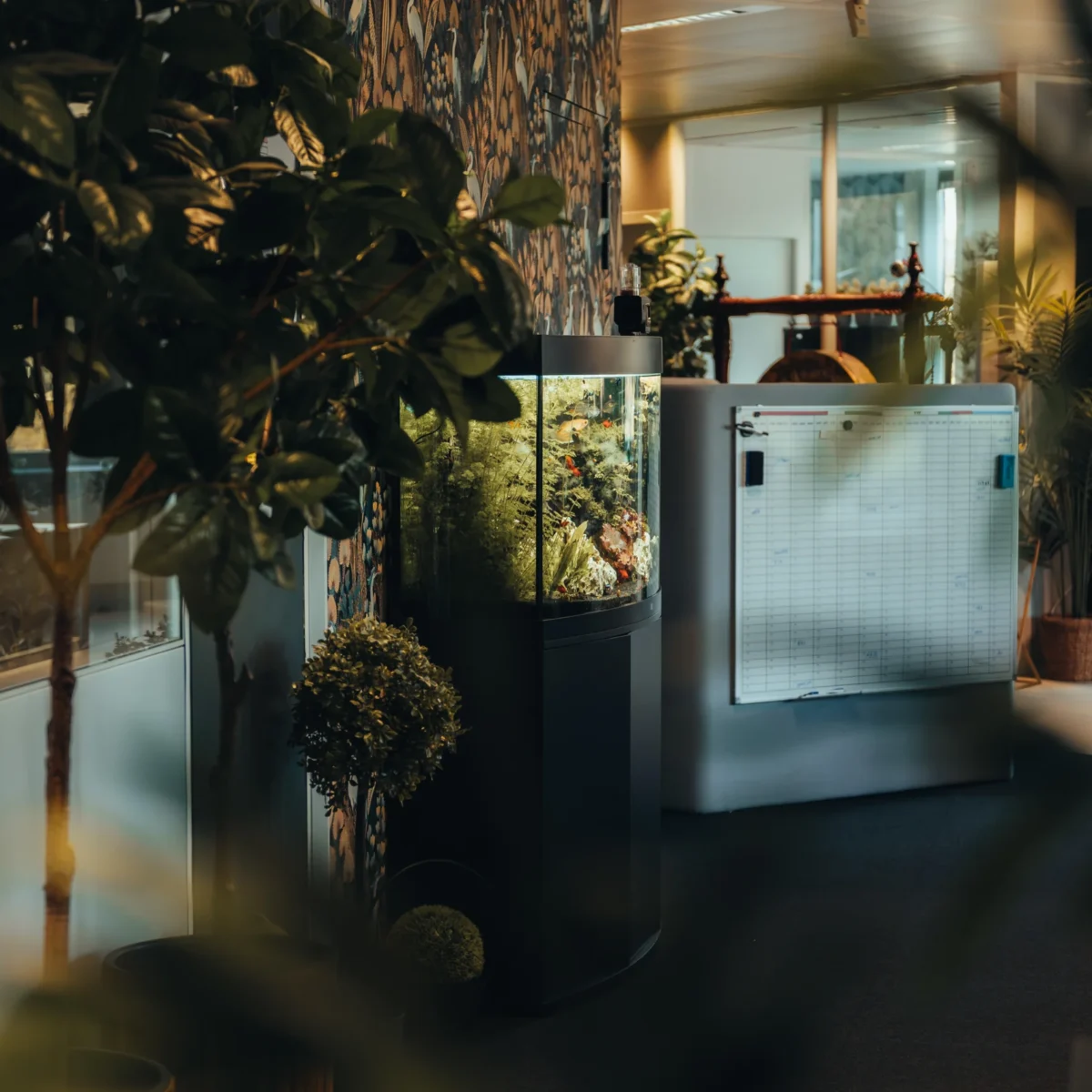 PeoplePay secrétariat social pour PME